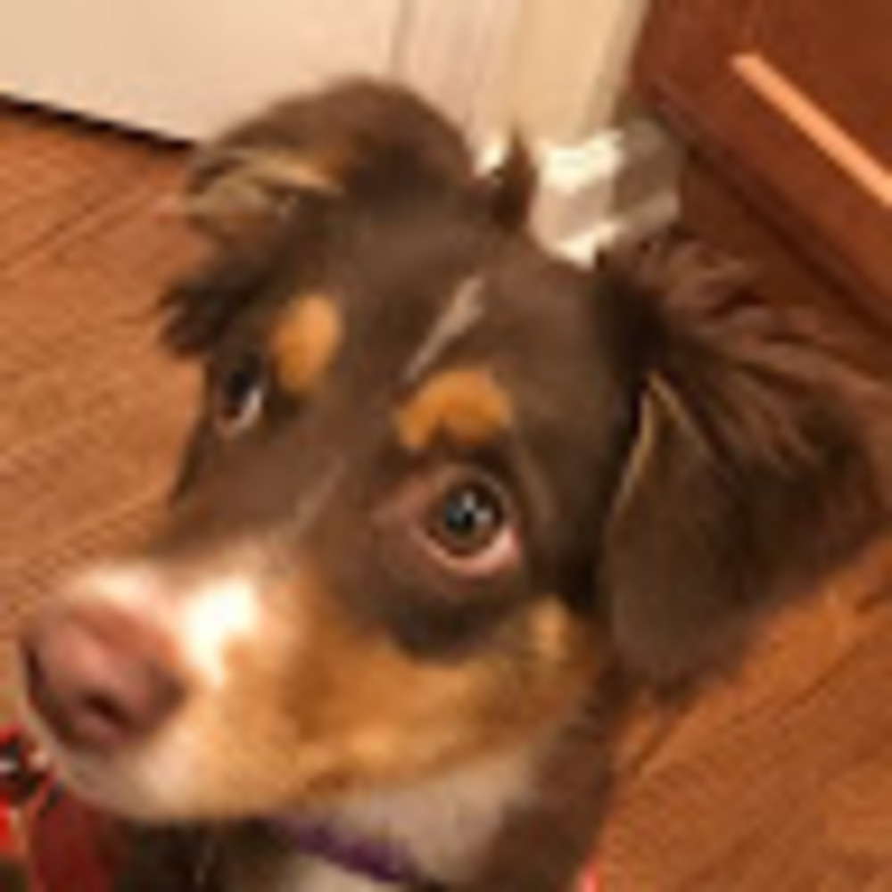 Meet your Posher, Daniel